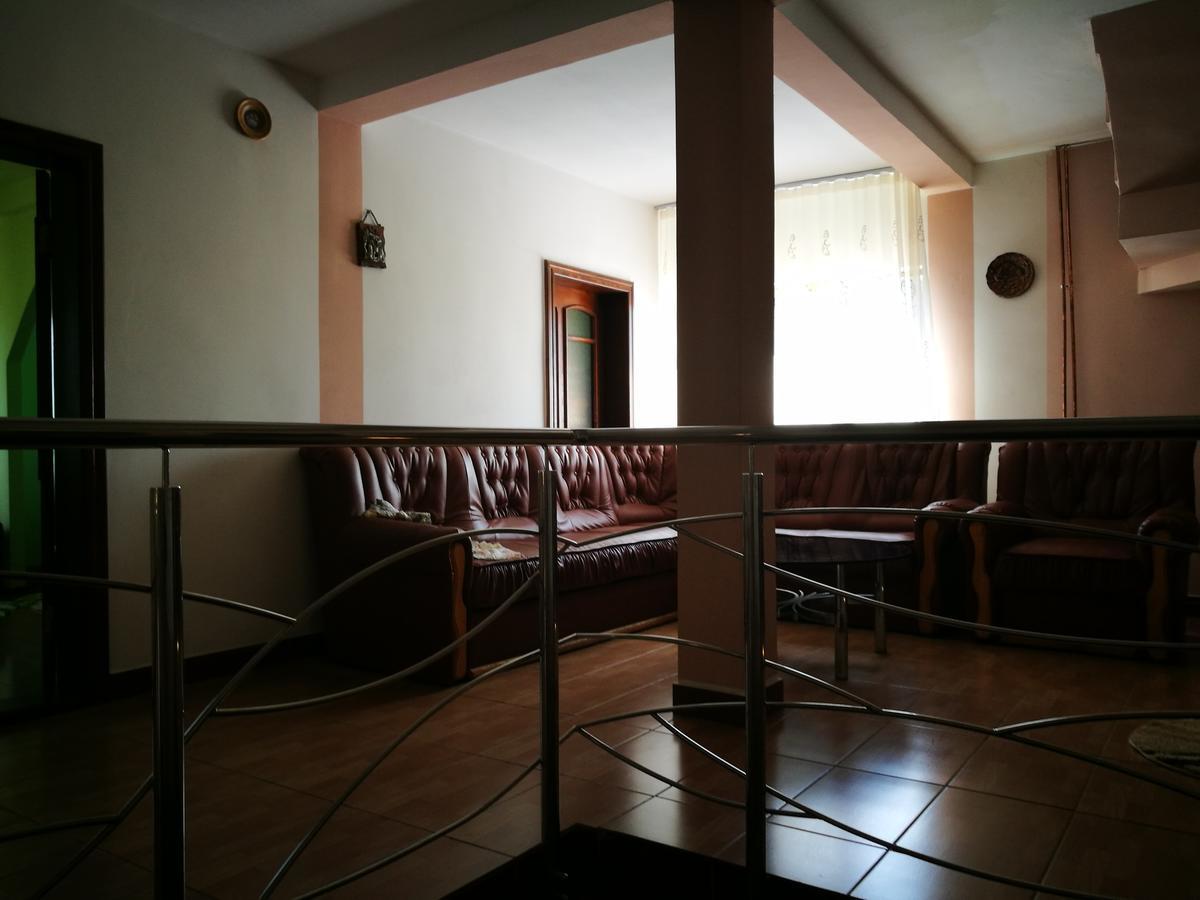Pensiunea Ramona Cărpinişu Extérieur photo