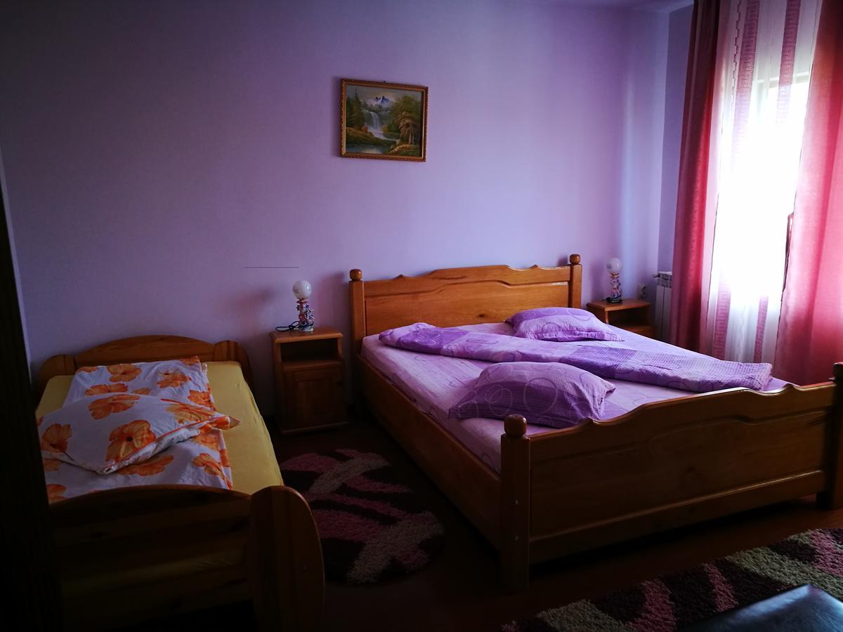 Pensiunea Ramona Cărpinişu Extérieur photo