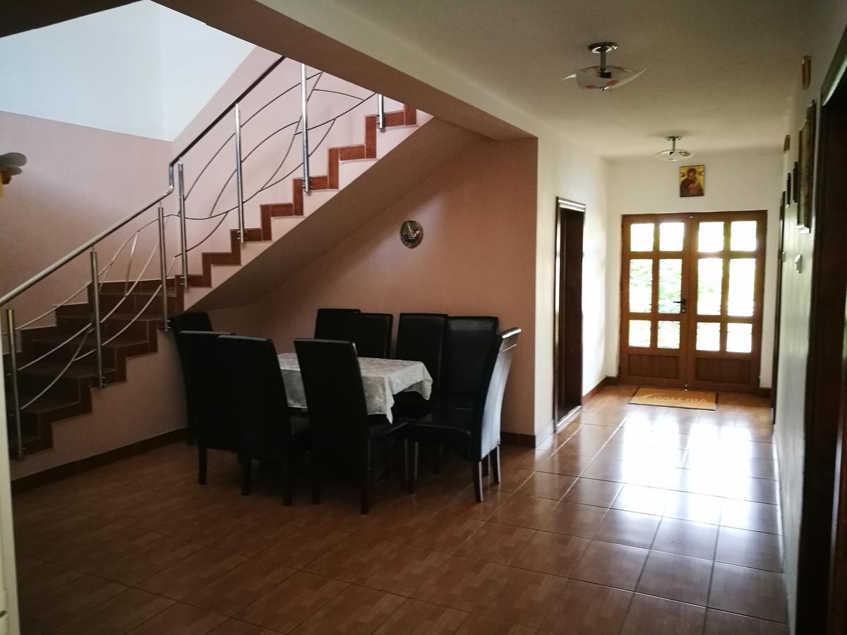 Pensiunea Ramona Cărpinişu Extérieur photo