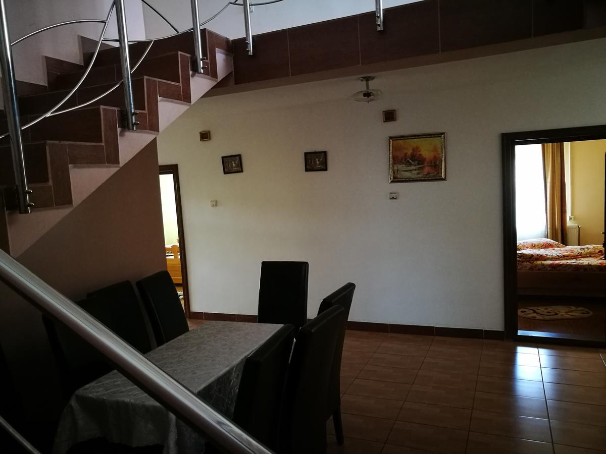 Pensiunea Ramona Cărpinişu Extérieur photo