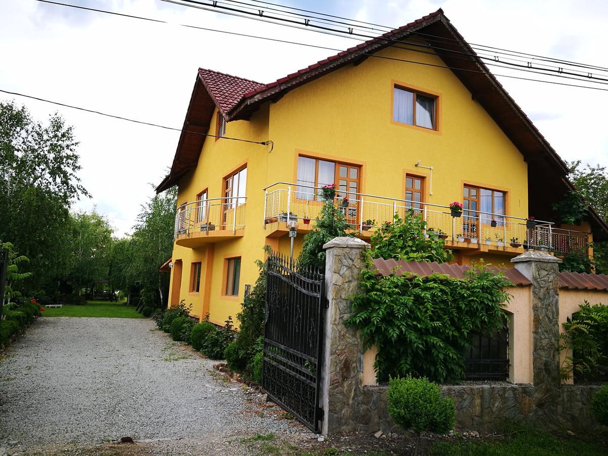 Pensiunea Ramona Cărpinişu Extérieur photo