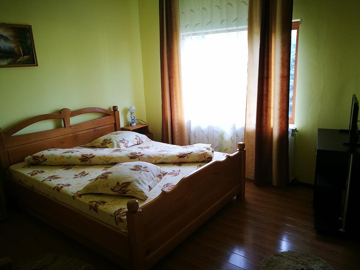 Pensiunea Ramona Cărpinişu Extérieur photo