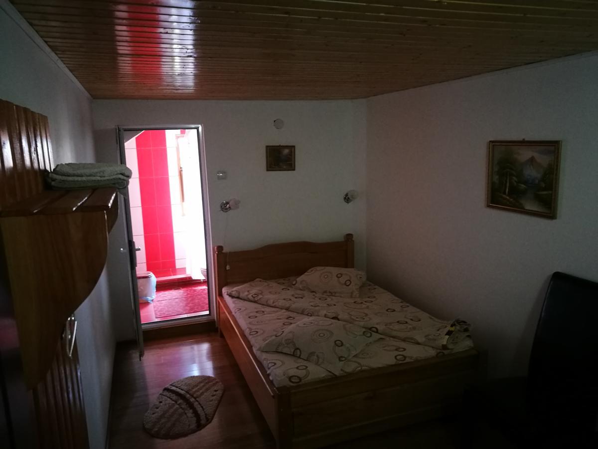 Pensiunea Ramona Cărpinişu Extérieur photo