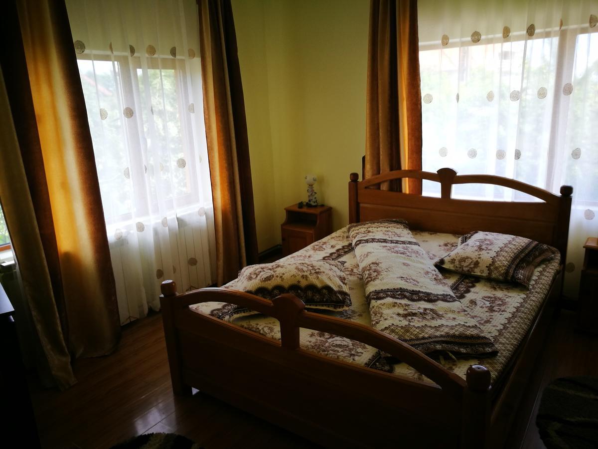 Pensiunea Ramona Cărpinişu Extérieur photo