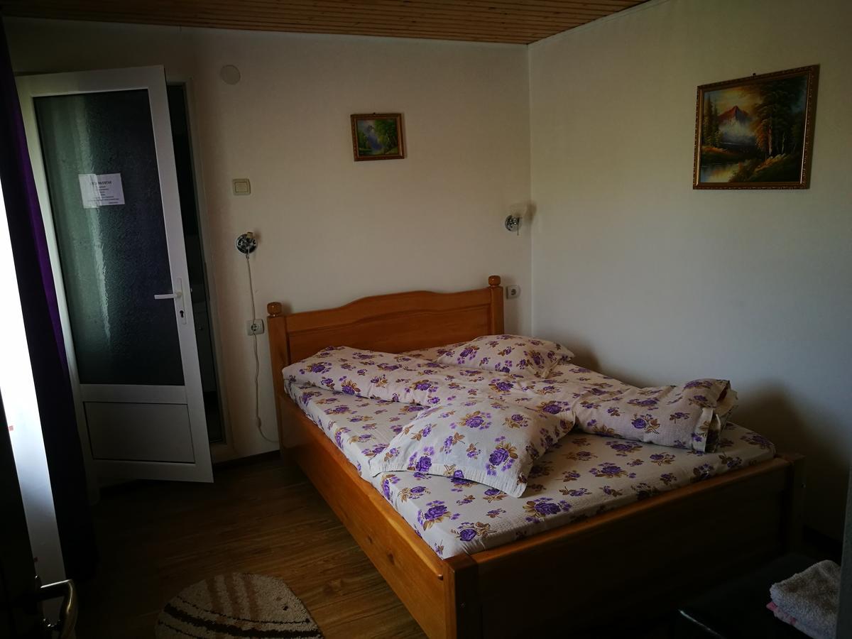 Pensiunea Ramona Cărpinişu Extérieur photo