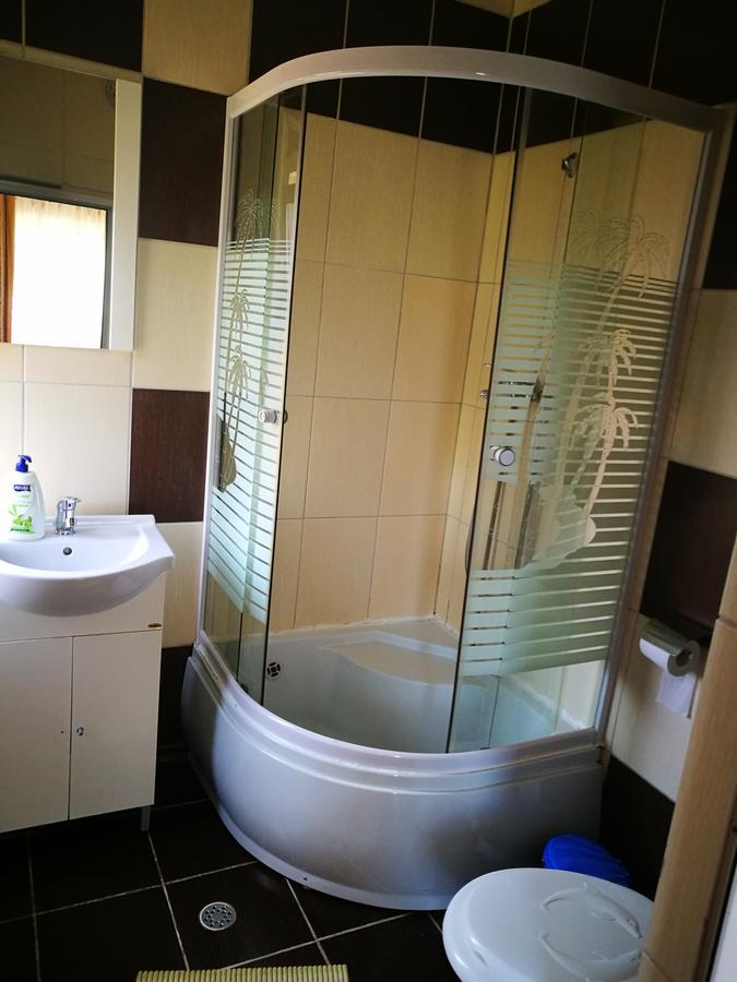Pensiunea Ramona Cărpinişu Extérieur photo