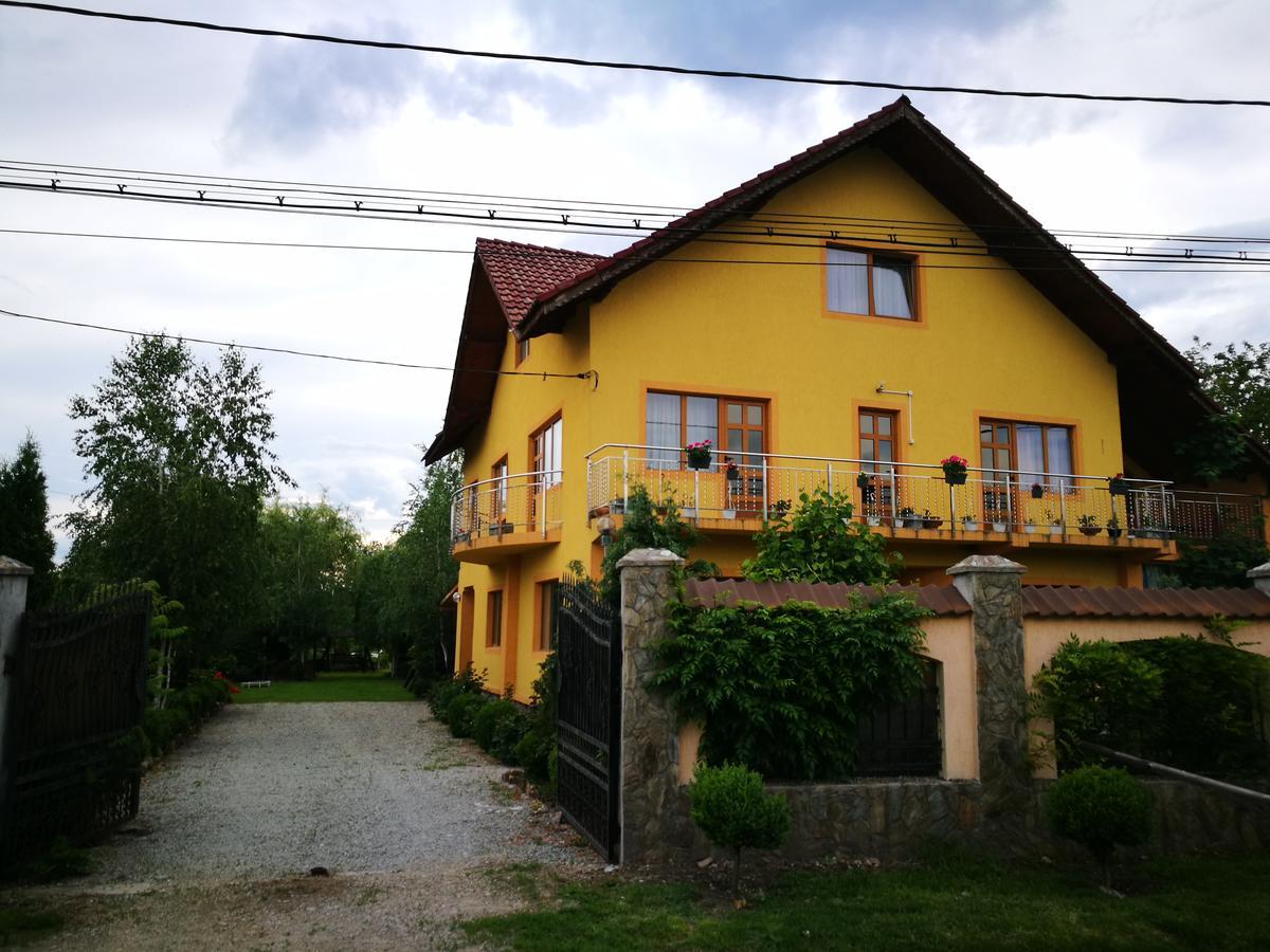 Pensiunea Ramona Cărpinişu Extérieur photo