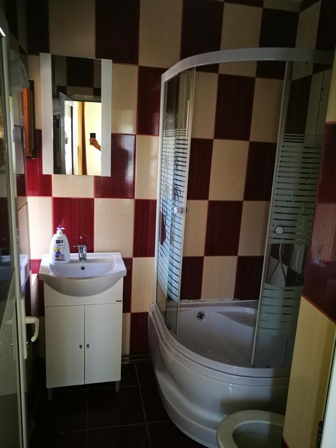 Pensiunea Ramona Cărpinişu Extérieur photo