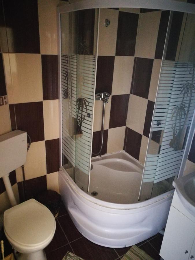 Pensiunea Ramona Cărpinişu Extérieur photo