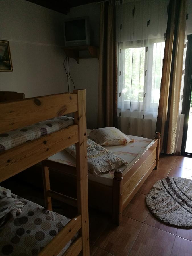 Pensiunea Ramona Cărpinişu Extérieur photo