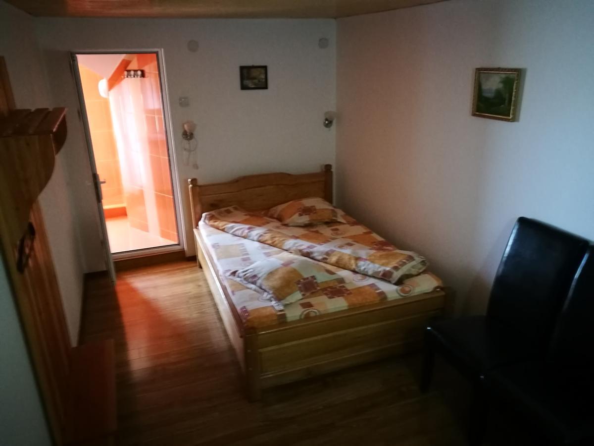 Pensiunea Ramona Cărpinişu Extérieur photo
