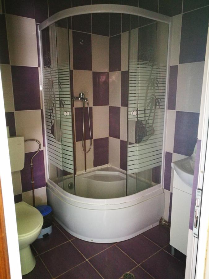 Pensiunea Ramona Cărpinişu Extérieur photo