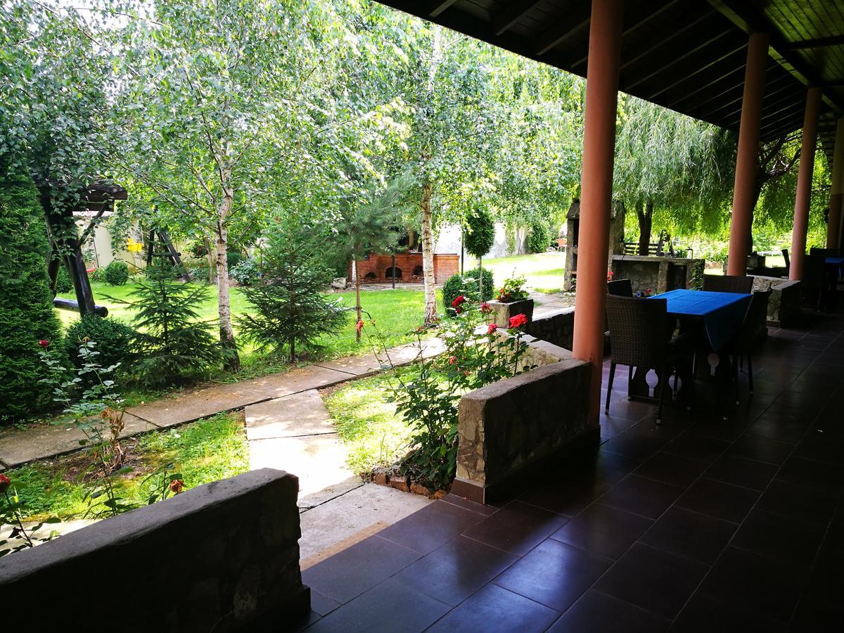 Pensiunea Ramona Cărpinişu Extérieur photo