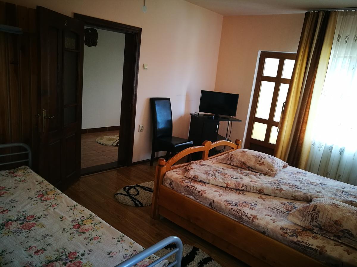 Pensiunea Ramona Cărpinişu Extérieur photo