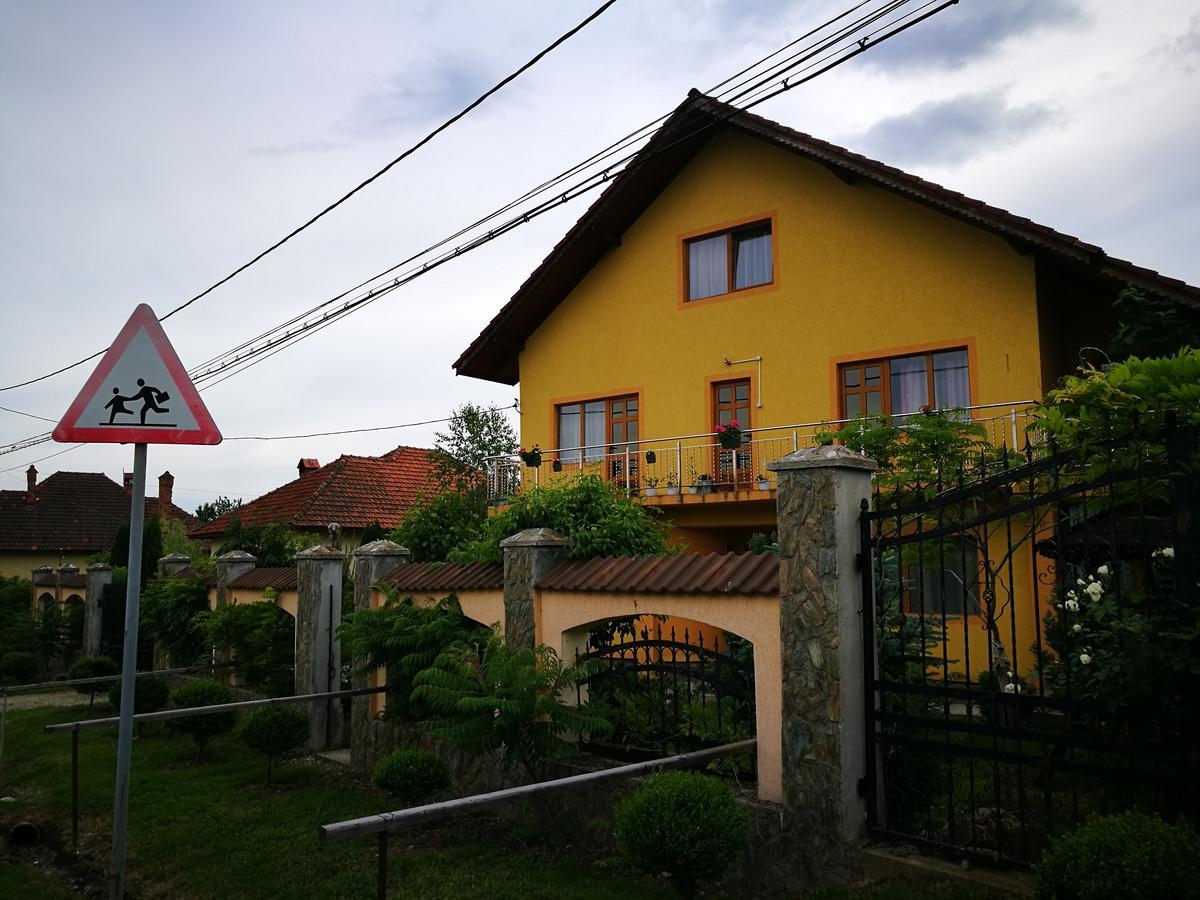 Pensiunea Ramona Cărpinişu Extérieur photo