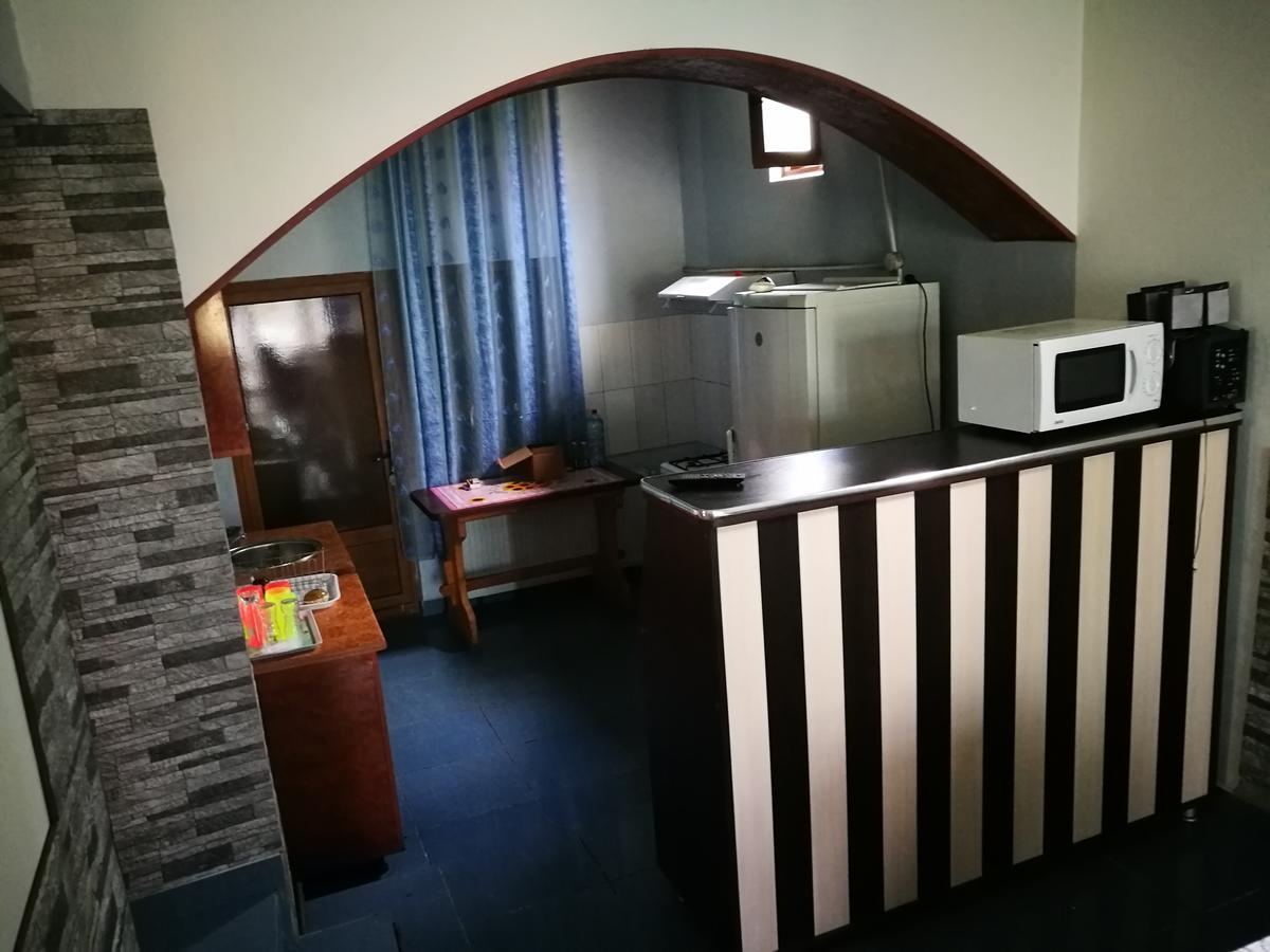 Pensiunea Ramona Cărpinişu Extérieur photo