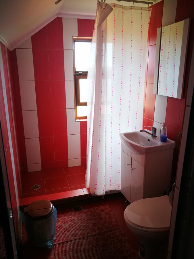 Pensiunea Ramona Cărpinişu Extérieur photo