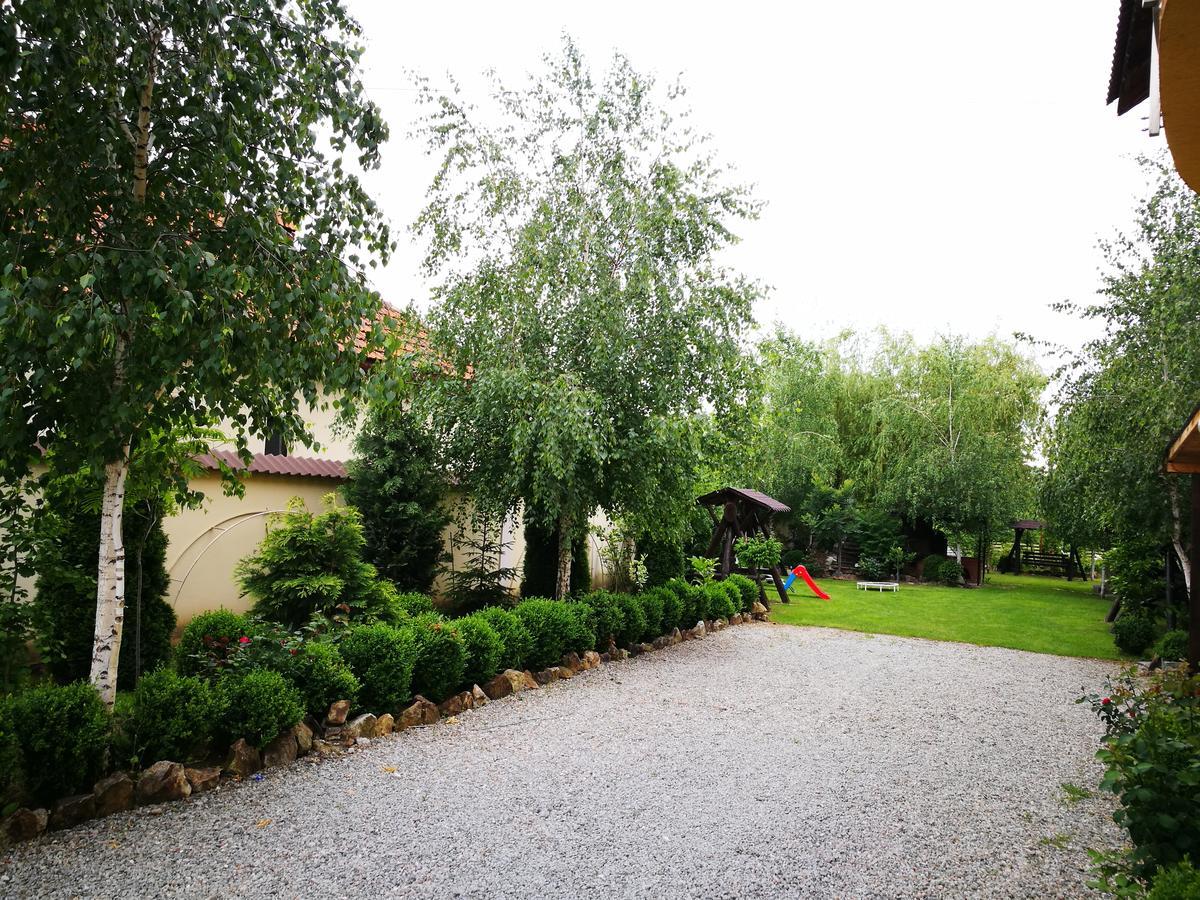 Pensiunea Ramona Cărpinişu Extérieur photo