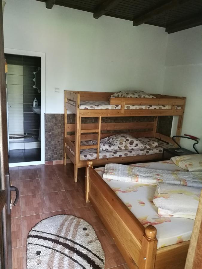 Pensiunea Ramona Cărpinişu Extérieur photo